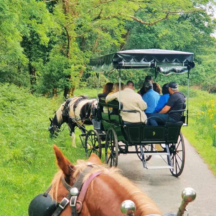 Detalles del tour Trafalgar tours